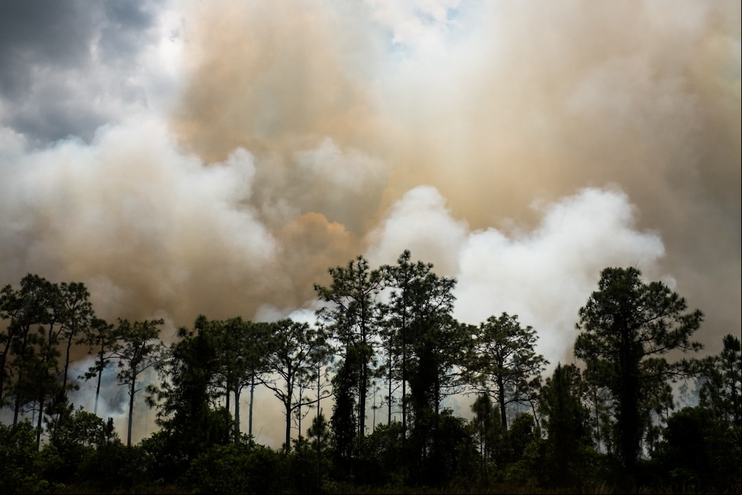 Mudança climática derruba mercado imobiliário na Flórida e expõe nova bolha nos EUA