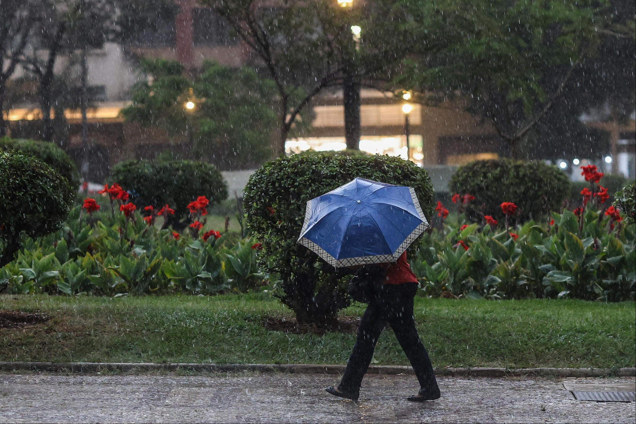 Não há previsão de chuva para este domingo (8 de junho) em Belo Horizonte